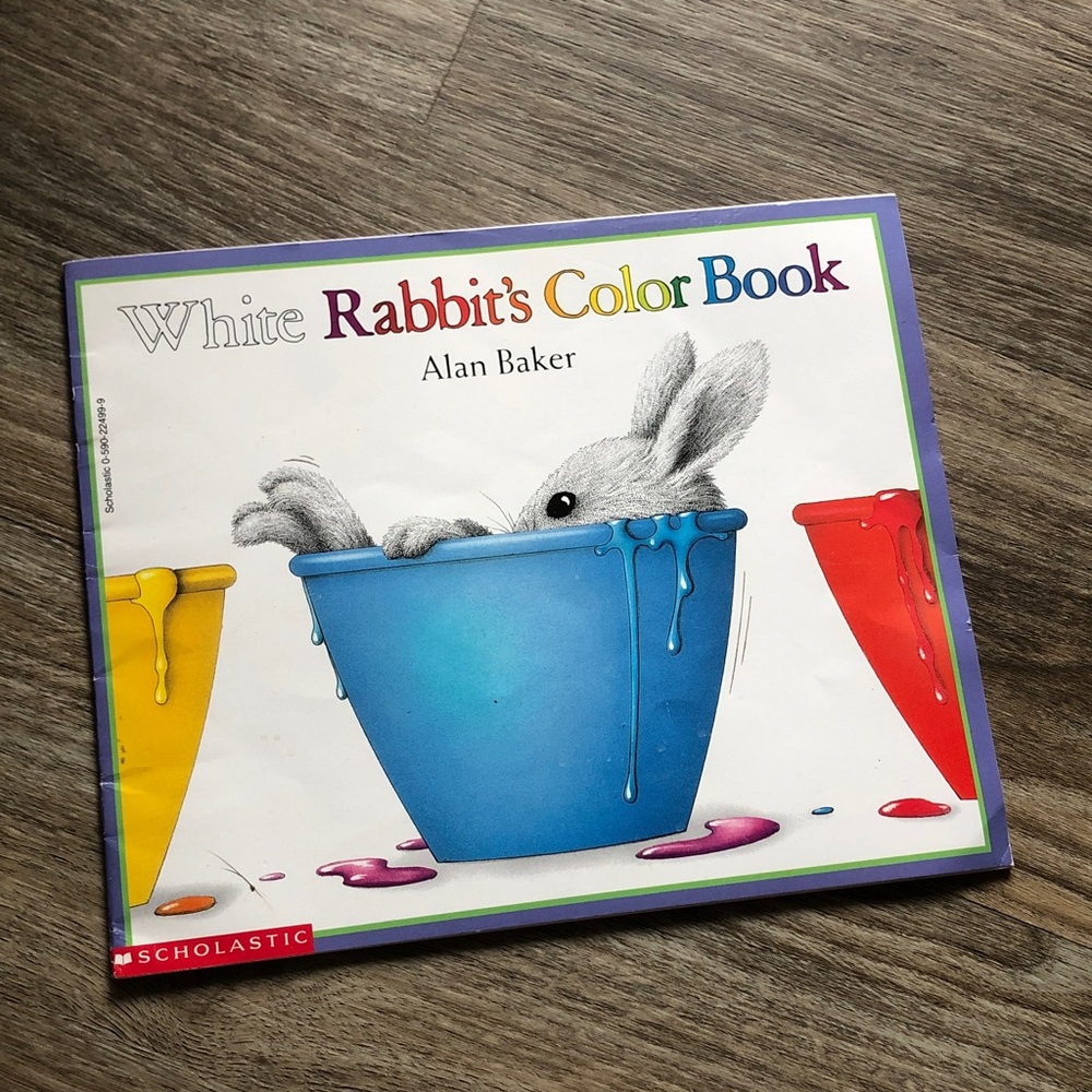 ❤️$3 White Rabbit's Color Book 1995